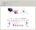 Optical Pumping: Visualization of Steady State Populations and Polarizations
