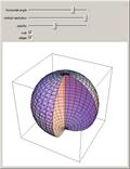 Digon Tiling of a Hosohedron