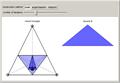 Dynamics of Triangle Iterates