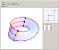 Embeddings of Graphs in a Torus and in a Moebius Strip