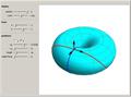 Geodesics of a Torus Solved with a Method of Lagrange