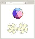 Nets of Polyhedra
