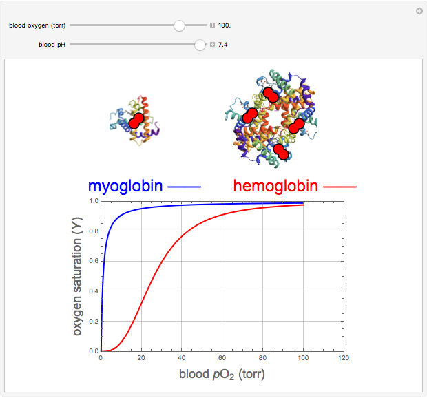 Hemoglobin and myoglobin in their （以下本文）
