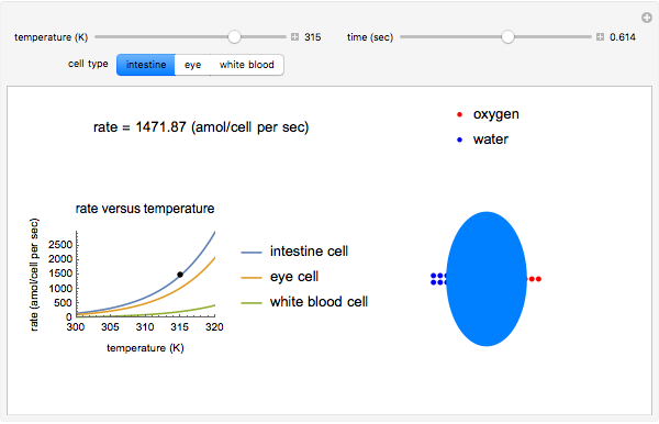 Rate of Cellular Respiration as a Function of Temperature and Cell Type -  Wolfram Demonstrations Project