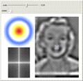 Retina and LGN: Early Vision Using Gaussian Filters