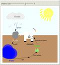 The Phosphorus Cycle